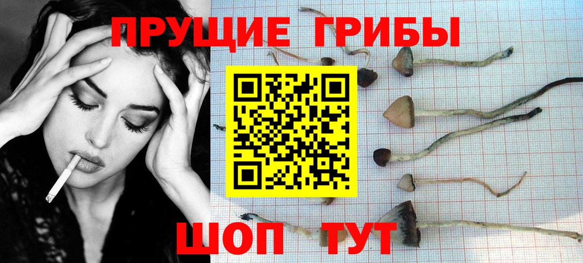 Галлюциногенные грибы Cubensis  Вход с VPN  Унеча 